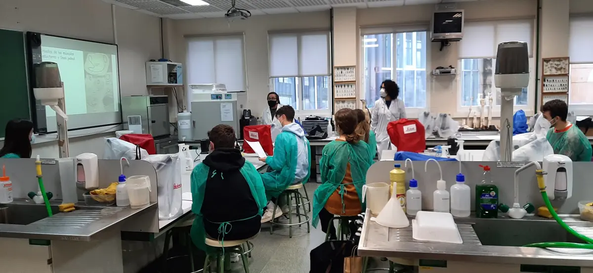 colegio manuel peleteiro