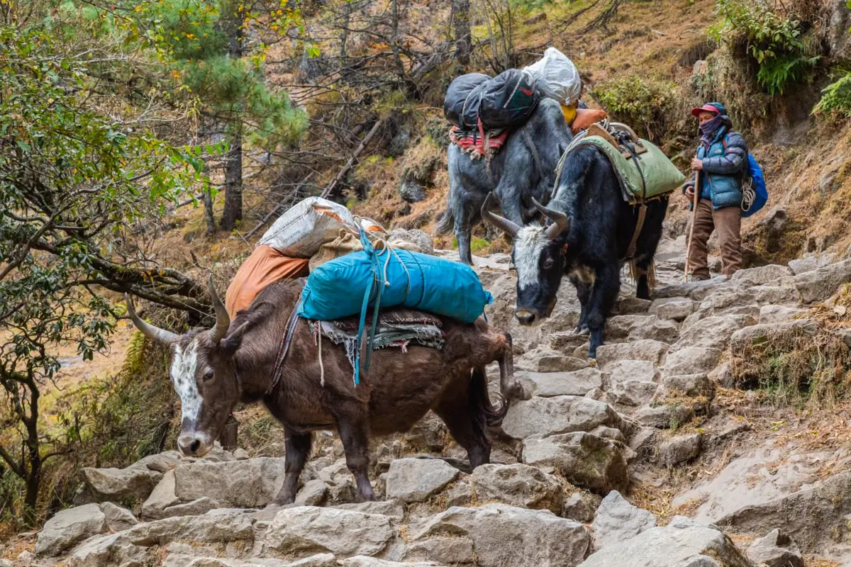 colegio manuel peleteiro