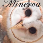 colegio manuel peleteiro