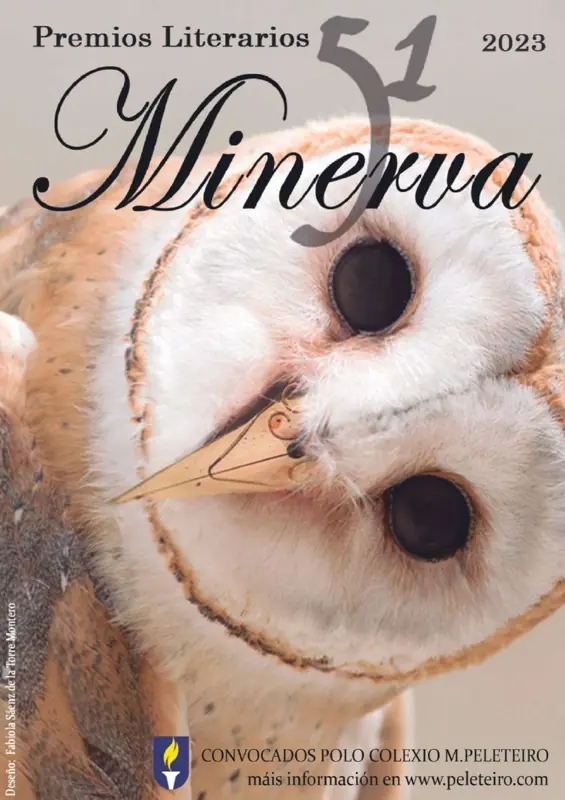 colegio manuel peleteiro