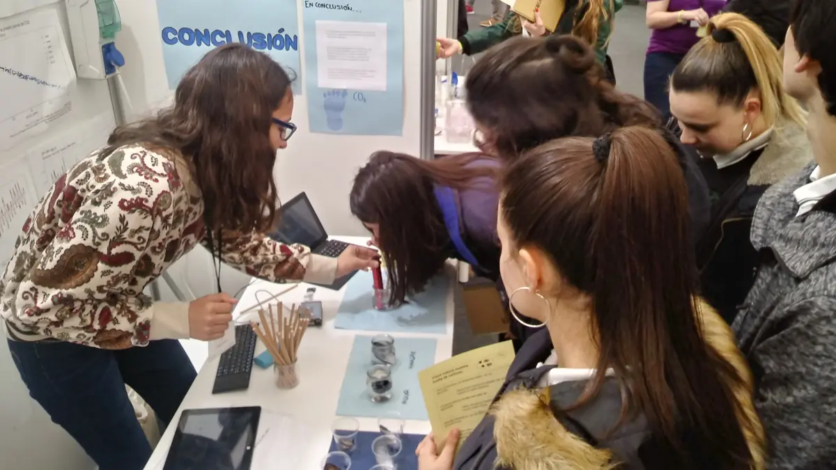 colegio manuel peleteiro