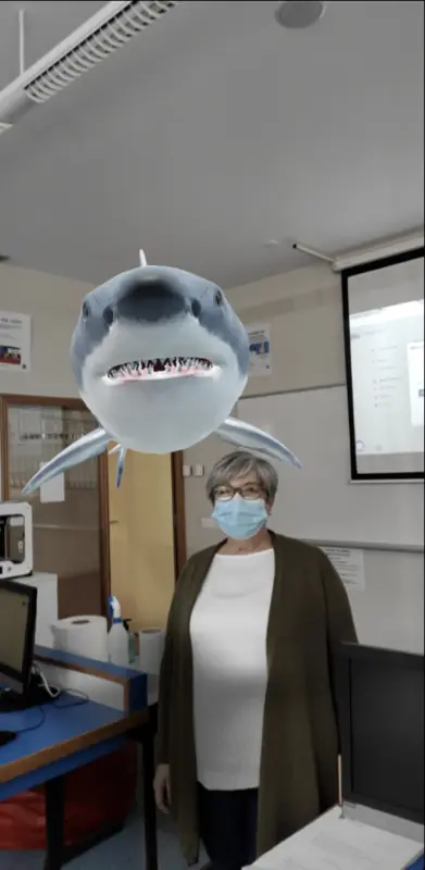 colegio manuel peleteiro