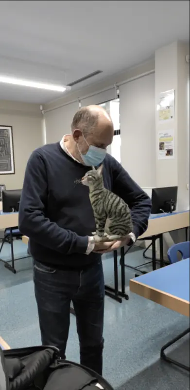 colegio manuel peleteiro