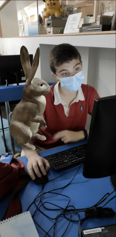 colegio manuel peleteiro