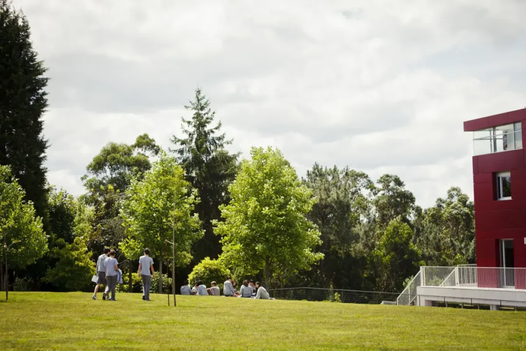 colegio manuel peleteiro